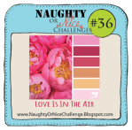 naughtyornicechallenge_challenge36