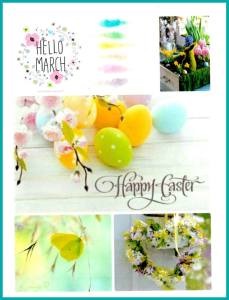 16300247_1878705809011582_4650903226878362395_o