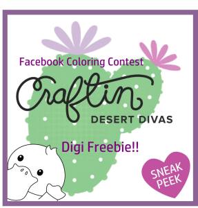 17854935_1352687214778941_3161925324500461578_o