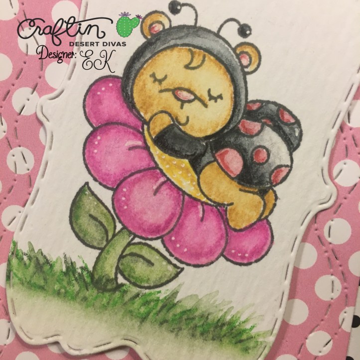 EK Gorman CDD 7:13.2