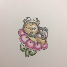 EK Gorman CDD 7:13.5