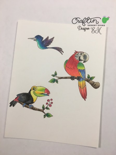 EK Gorman CDD 8:9 Inside