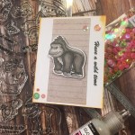 EK Gorman CDD 9:30 s