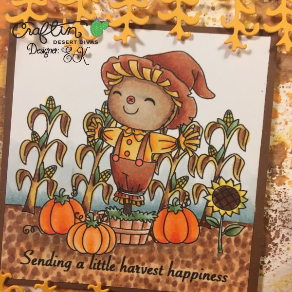 EK Gorman CDD 9:5 Harvest 2