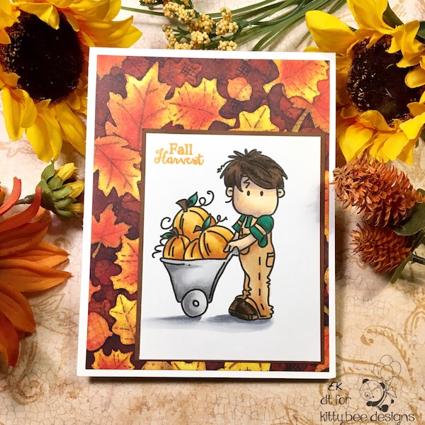 EK Gorman KBD AF 107b 1