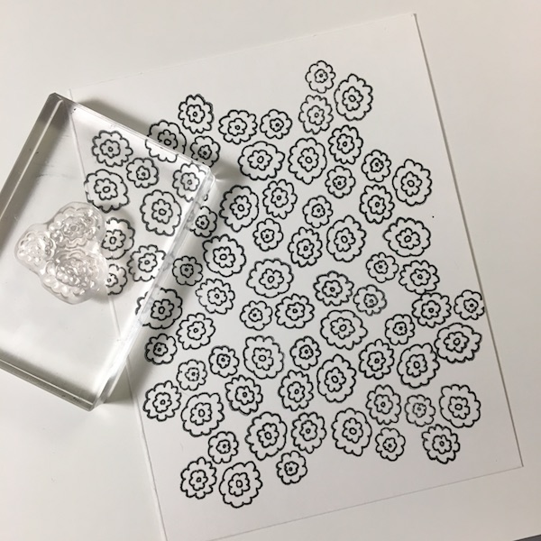 EK Gorman ECD cactus a