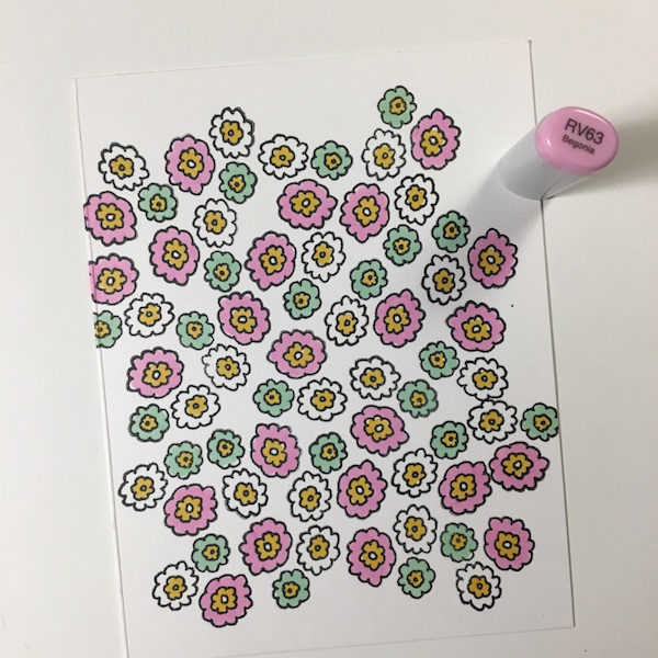 EK Gorman ECD cactus d