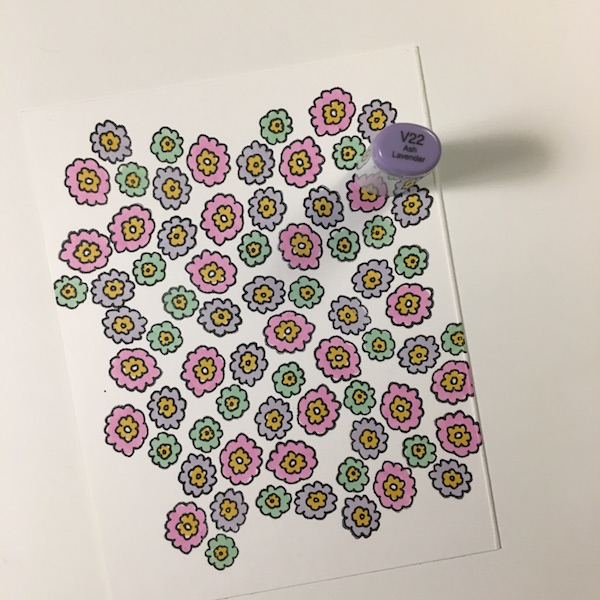 EK Gorman ECD cactus e