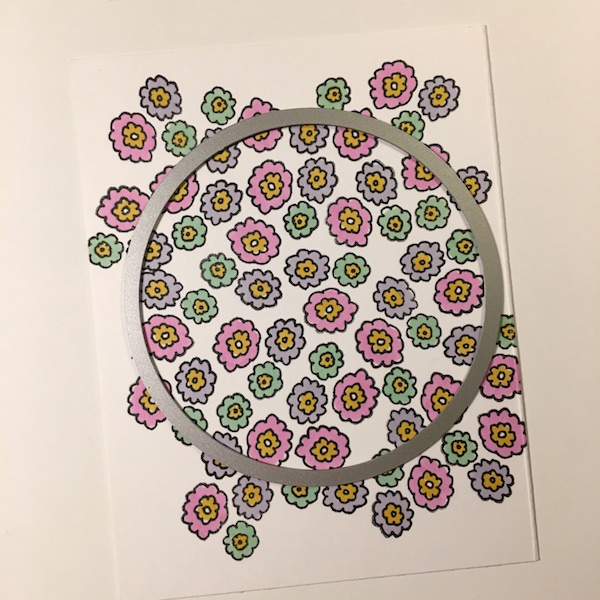 EK Gorman ECD cactus f