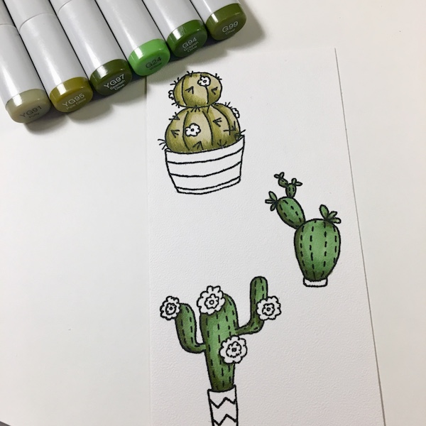 EK Gorman ECD cactus i