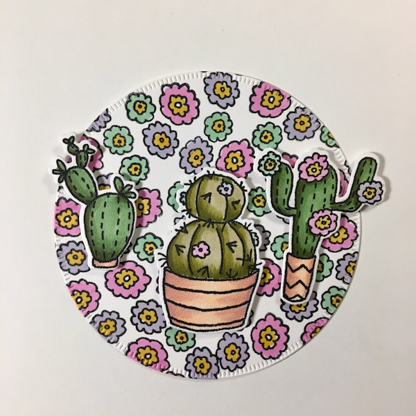 EK Gorman ECD cactus l