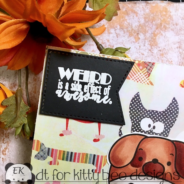 EK Gorman, Kittybee Designs Alhoa Friday c