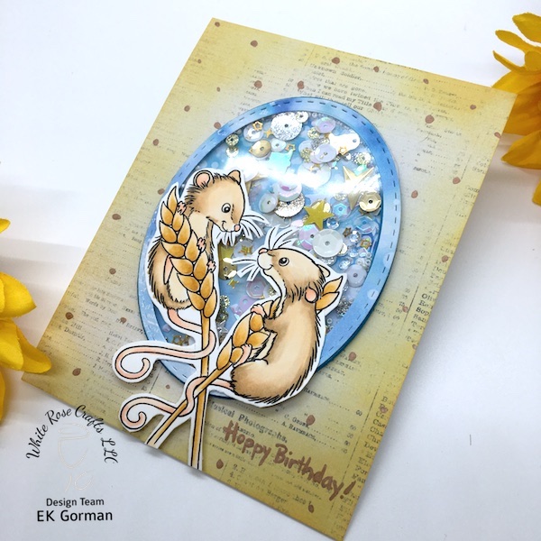 ek gorman, doodle's paper playground, 1 year birthday b