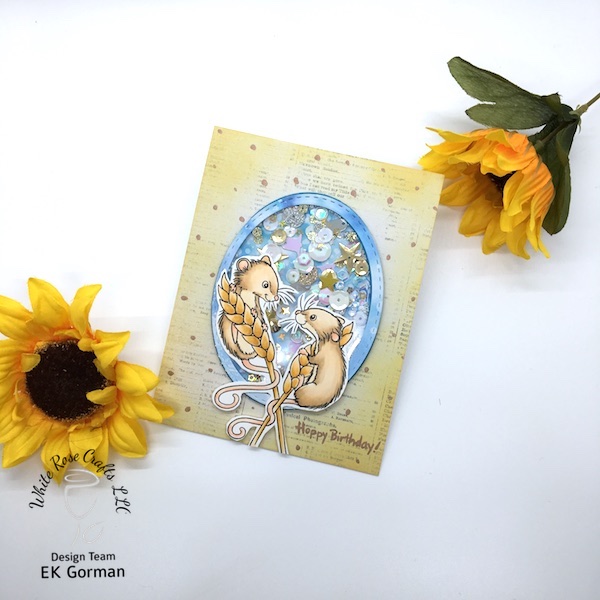 ek gorman, doodle's paper playground, 1 year birthday c