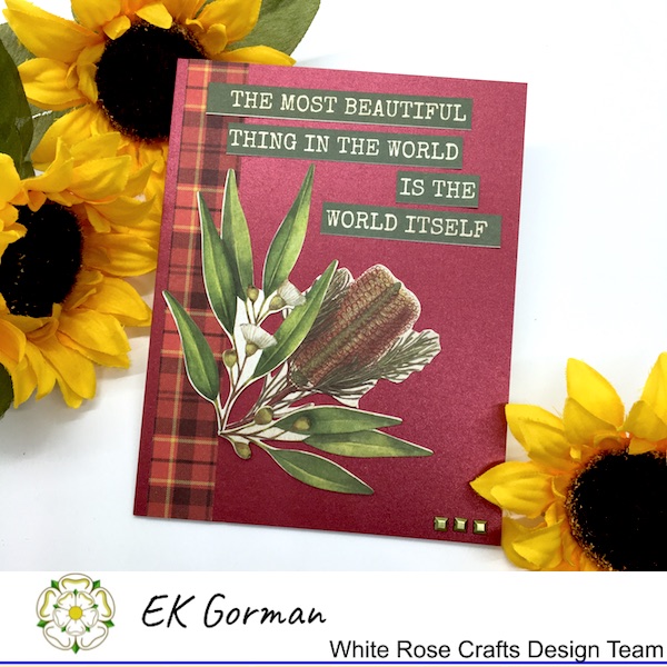 EK Gorman, White Rose Craft, Marvelous Men FFC1 j