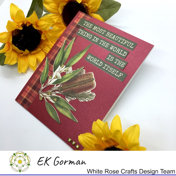 EK Gorman, White Rose Craft, Marvelous Men FFC1 k