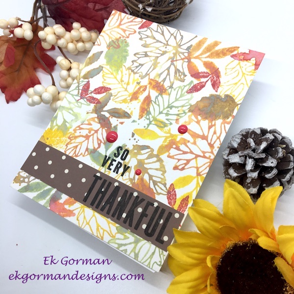 Ek Gorman CCC Fall b